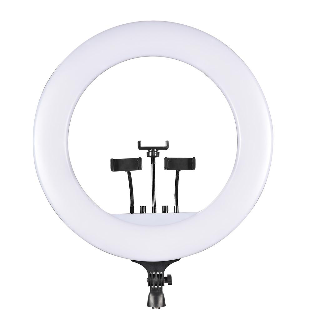 Costaline Ring Light 21 Inch