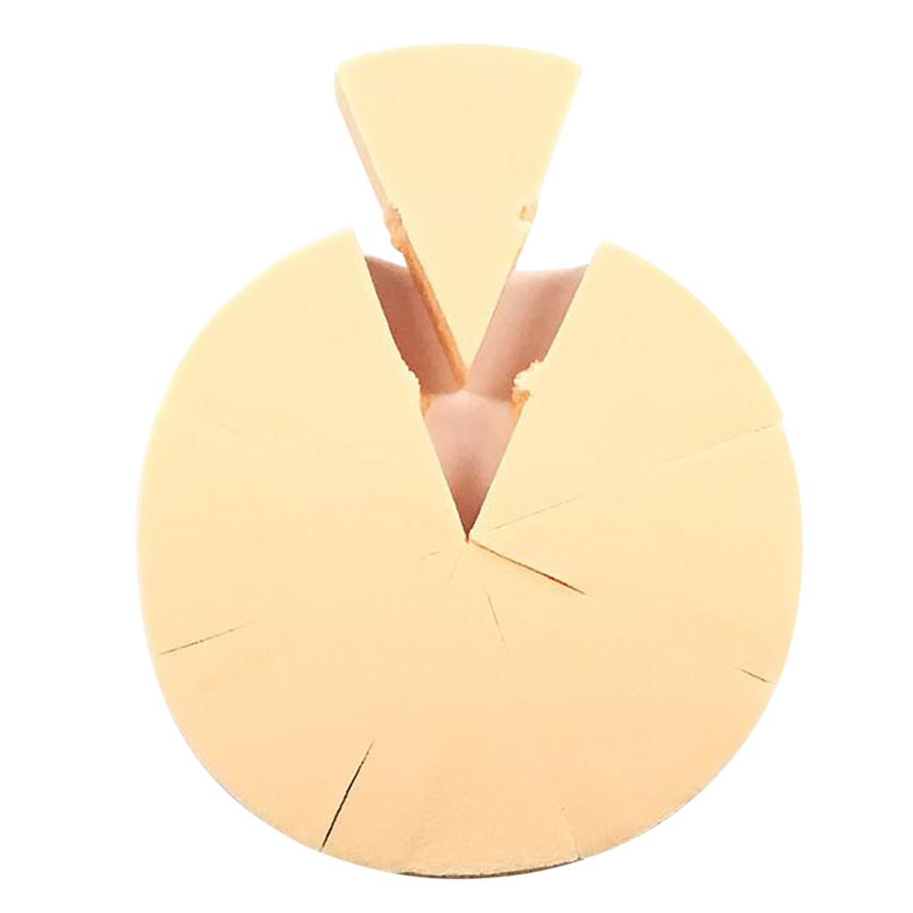 Costaline Makeup Sponges Pizza - MS1003