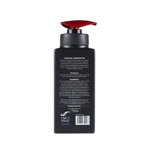 H2B Charcoal Shampoo SSP 380ml